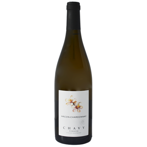 CORENTIN CHAVY 2023 Mâcon Chardonnay – Burgundy, France